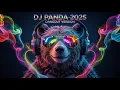 Download Lagu DJ Panda Remix Koplo 2025 🎵 | Lagu Viral TikTok Paling Hits 🎶 - Full Album