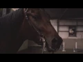North Jersey Equestrian Center NJ Horse Riding