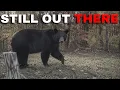 11 Animals in Pennsylvania Locals Won t Go Near
