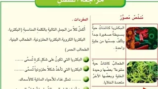 حل مراجعه الفصل صفحه 31و32 علوم رابع ابتدائي 