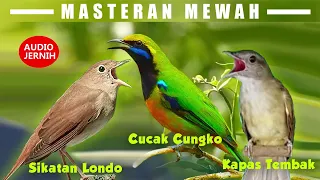 Download MASTERAN MEWAH (SIKATAN LONDO+CUCAK CUNGKOK+KAPAS TEMBAK) MP3