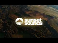 Surf Curse - Disco | Lyrics