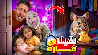 لقينا فارة بالبيت  كيف مسكناها ميمي عملت مقلب انها مسكتها وخبتها ايمن تيوبر خاف كتير ولولو كمان  دندنها
