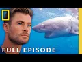 Download Lagu Shark Beach with Chris Hemsworth (Full Episode) | SPECIAL | National Geographic