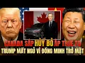 Download Lagu Canada Đề Xuất HỦY 100% Thuế Xe Điện Trung Quốc, Trump Bàng Hoàng Vì Đồng Minh Trở Mặt!