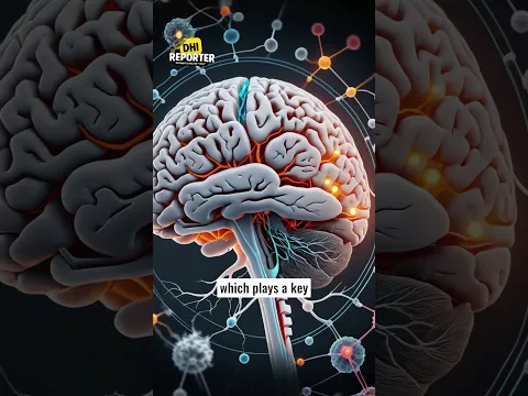 Understanding Gray and White Matter #brain #neuroscience #graymatter #whitematter #mentalhealth