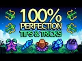 The Most Relaxed Stardew PERFECTION Guide 1 6