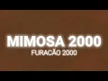 Download Lagu Furacão 2000 - Mimosa 2000 (Lyrics)