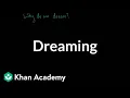 Dreaming Processing the Environment MCAT Khan Academy