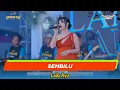 Lagu SEMBILU - LAILA AYU - SIMPATIK MUSIC - LIVE PATI - NUGROHO AUDIO