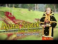 Download Lagu Ngarai Sianok || Cover || Erzawilis || Lagu Minang Cover Terbaru 2020