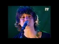 The Seahorses - Love is the Law - MTV Live