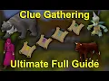 OSRS The Ultimate Clue Scroll Gathering Guide All Tiers