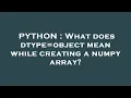PYTHON What does dtype object mean while creating a numpy array