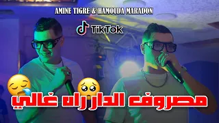 Cheb Amine Tigre المعيشة ولات غالية Ft Hamouda Maradon Live 2024 
