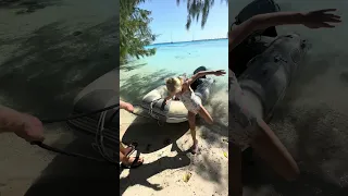 How do we get around while living on a sailboat? By dinghy, of course! #sailingfamily