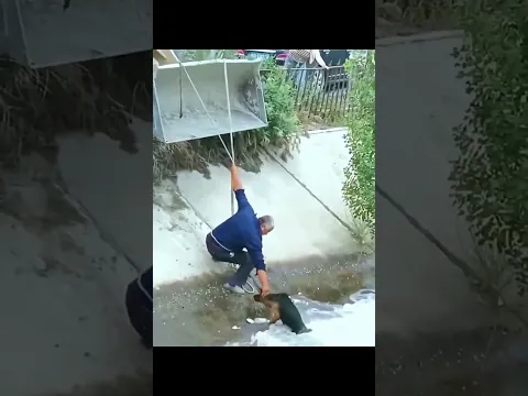 شاهد هذا الرجل يخاطر بحياته لإنقاذ الكلب 😱