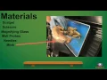 Mink Dissection Project