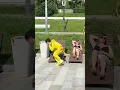 the pikachus played a prank on a couple