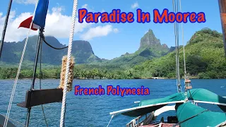 #39 Paradise In Moorea  French Polynesia