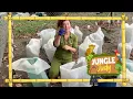 Download Lagu Vlog 5 - Jungle Judy 🙋🏻‍♀️🌎 - (Zee)schildpadden 🐢