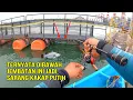 Download Lagu GILA BANGET‼️PADAHAL CUMA DI PINGGIRAN TEMBOK INI MALAH JADI SARANG KAKAP DAN BANYAK IKAN LAINNYA