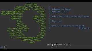 Scapy TCP and UDP class