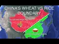 Download Lagu How Eating Wheat vs Rice Shaped The Vast Cultural Differences Between Northern and Southern China