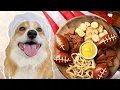 Corgi Hosts Super Bowl Party