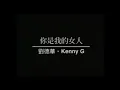 刘德华 - 你是我的女人 (ni shi wo de nv ren) cover