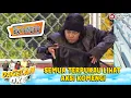Lagu BENGKOKIN LINGGIS! SEMUA TERPUKAU LIHAT AKSI KOMENG! | DAGELAN OKE EXTEND EPS 40