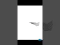 Draw A Ninja Design using python turtle