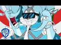 Download Lagu Looney Tunes | Best of the Winter Stag | WB Kids