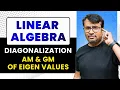Diagonalization of Matrix Algebraic Multiplicity and Geometric Multiplicity Matrices