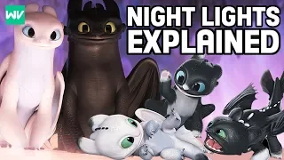 Download Who Are Toothless \u0026 The Light Fury's Children (Night Lights) | How To Train Your Dragon MP3