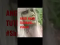 Download Lagu WES ANGEL TUTURANE. #fyp