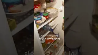 إسرائيل تعثر على مقر قيادة وحدة الرضوان 