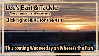 Lee s Bait Tackle