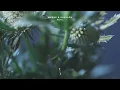 MYRNE & Shallou - Heal [Extended Mix]