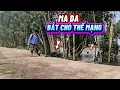 Download Lagu [Tập 786] Riết tới c.hó mà MA DA cũng không tha  - phim ma 