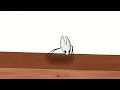 Hornet stick bug dance meme hollow knight silksong fan animation