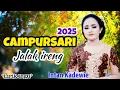 Lagu CAMPURSARI KOPLO TERBARU 2025 - JALAK IRENG ( LIRIK ) -INTAN KADEWIE