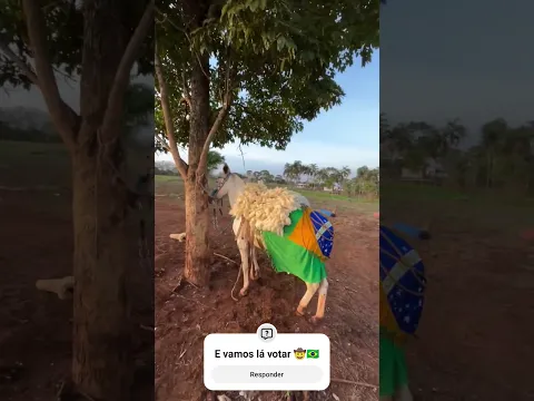 E vamos lá votar 🤠🇧🇷 #viral #gado #shortvideo #fazenda #agro #pecuarista #vidanocampo
