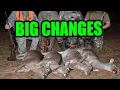 Big Changes for Georgia s 2023-2024 Doe Days