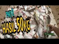 Download Lagu Tahan jaring ikan sungai / hasil luar biase part 2 /(#eps56)