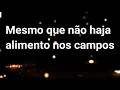 Download Lagu Ainda que a Figueira - Fernandinho | LETRA