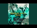 Download Lagu Pargoy Next Level (Remix)