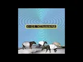 Nico Touches The Walls - Hologram (ホログラム)