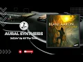 Blake Aaron - The Upside