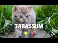 Download Lagu TABASSUM Name Ringtone || TABASSUM naam ki ringtone | TABASSUM name smart ringtone | iphone ringtone